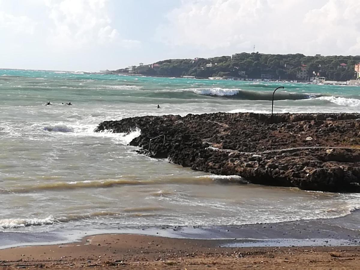 Vicolo Del Poggetto Daire Rosignano Marittimo Dış mekan fotoğraf